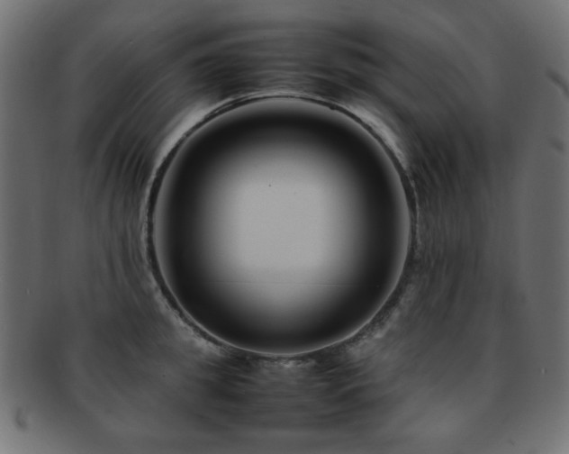 X0000092270949200709141158