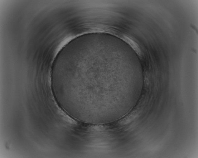 X0000092270950200709141158