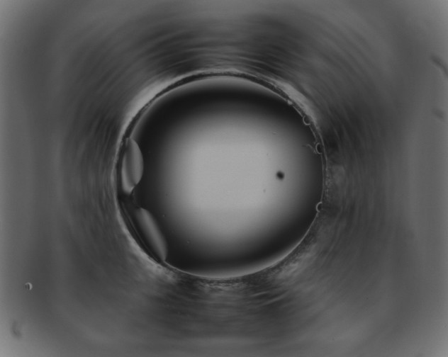X0000092270951200709141158