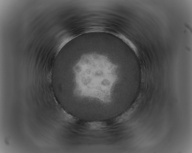 X0000092270953200709141159
