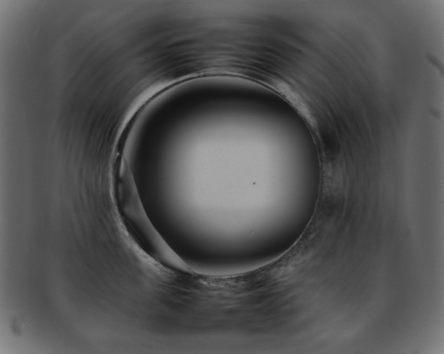 X0000092270955200709141159