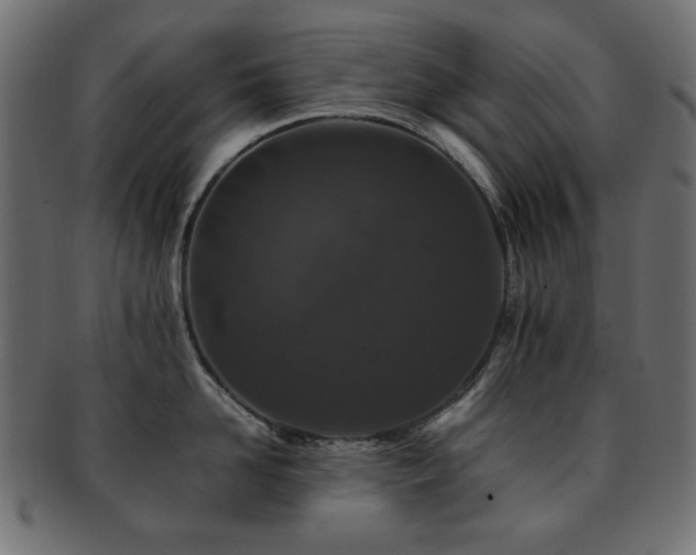X0000092270958200709141159