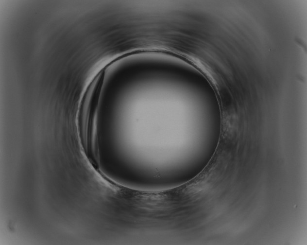 X0000092270959200709141159
