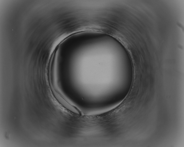 X0000092270960200709141159
