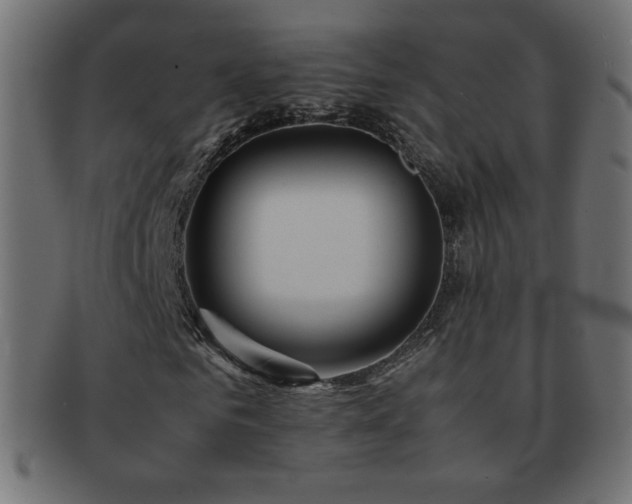 X0000092270961200709141158