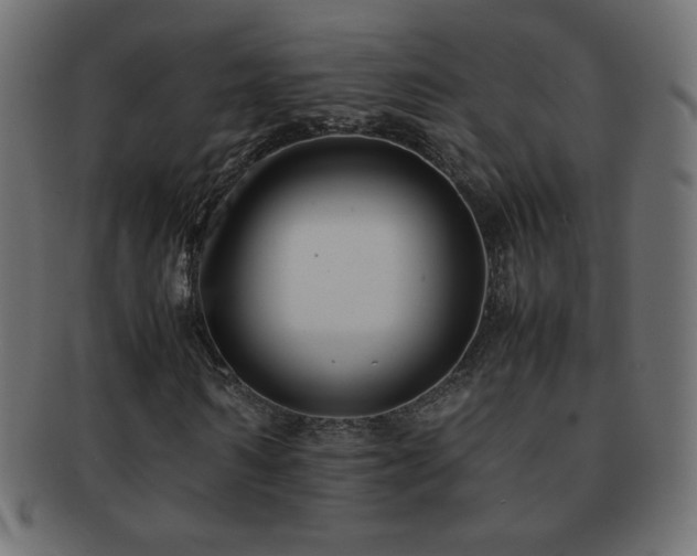 X0000092270962200709141158