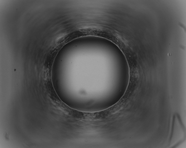 X0000092270965200709141158