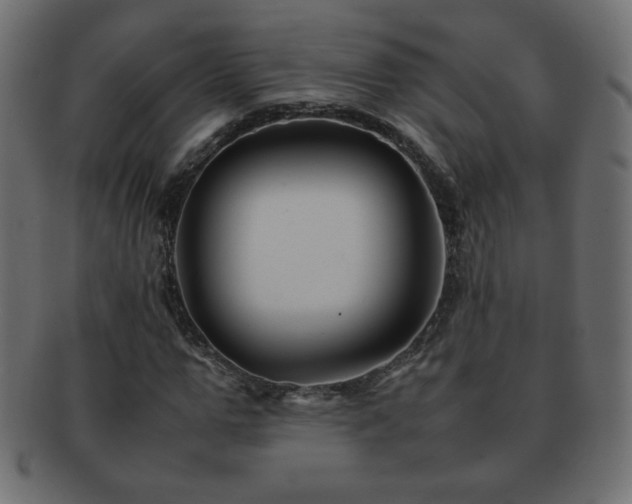 X0000092270967200709141158