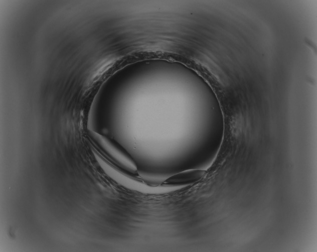 X0000092270968200709141158