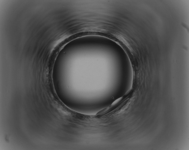 X0000092270971200709141158
