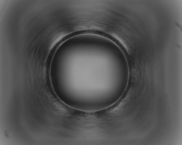 X0000092270975200709141158