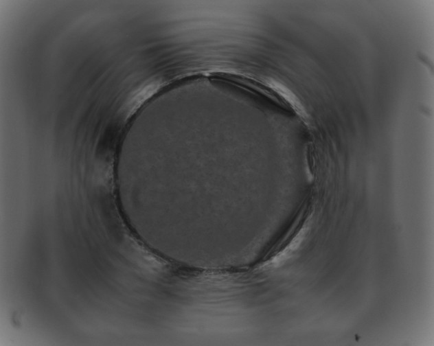 X0000092270977200709141158