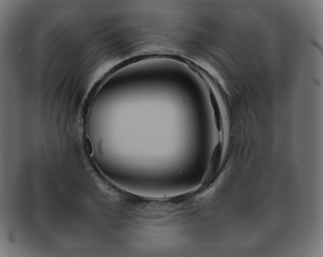 X0000092270981200709141158