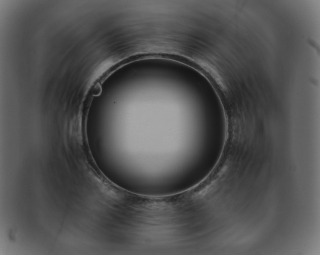X0000092270982200709141158