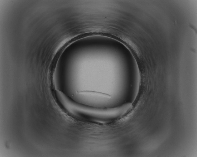 X0000092270983200709141158