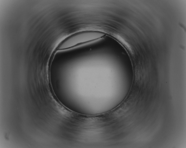 X0000092270988200709141158