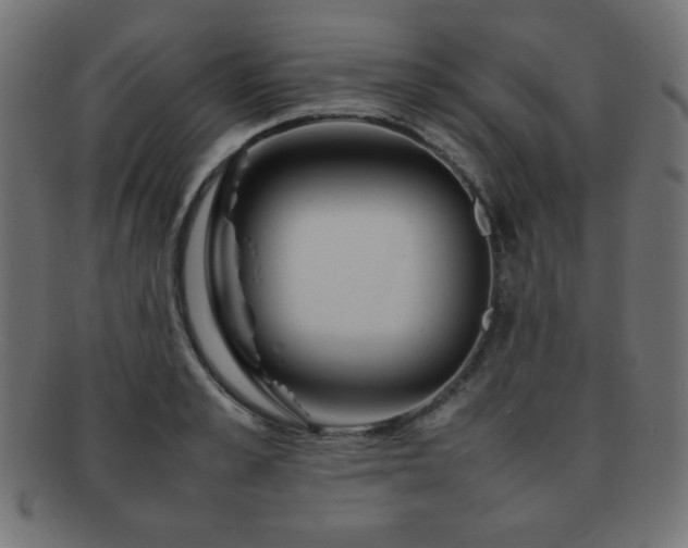 X0000092270989200709141158