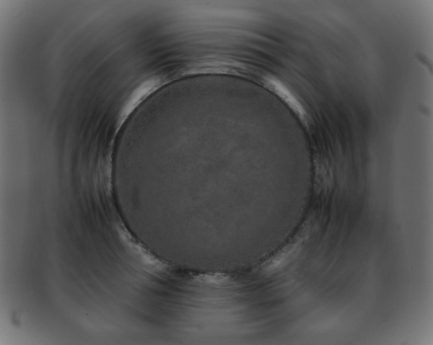 X0000092270994200709141158