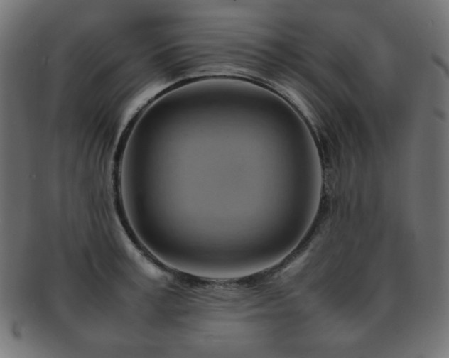 X0000092270995200709141158