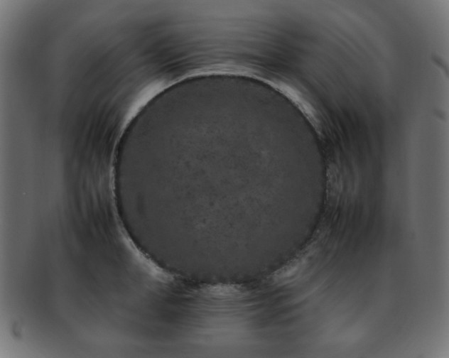 X0000092270998200709141157