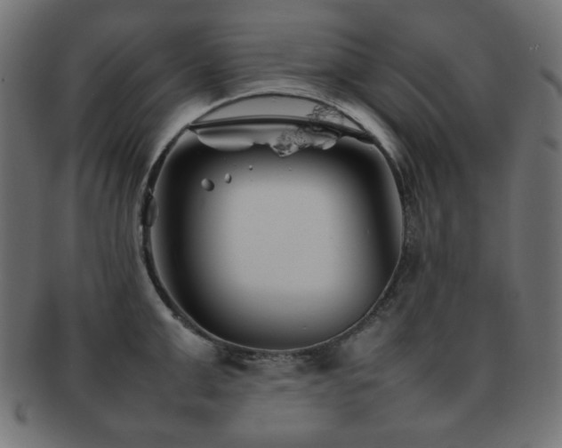 X0000092270999200709141157