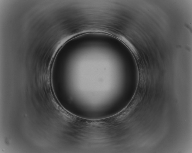 X0000092271004200709141157