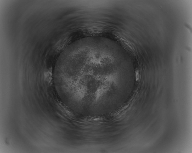 X0000092271011200709141157