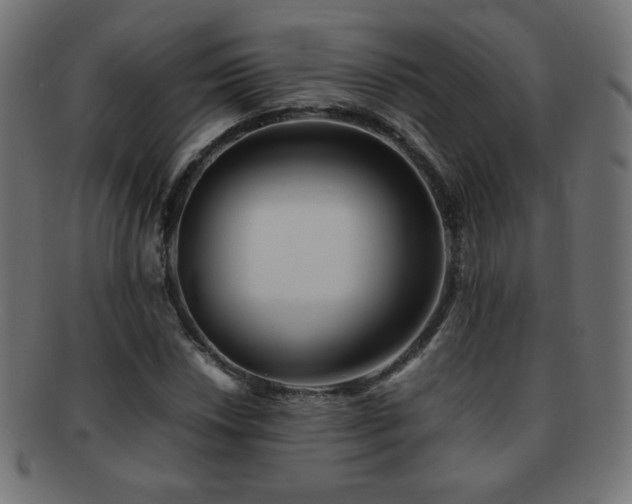 X0000092271018200709141157