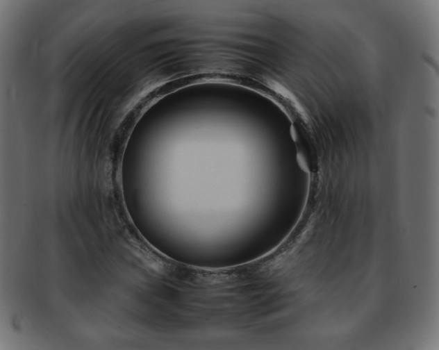 X0000092271019200709141157