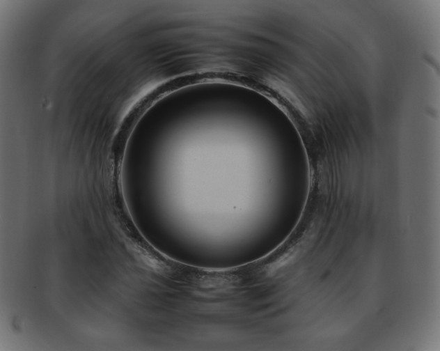 X0000092271021200709141157