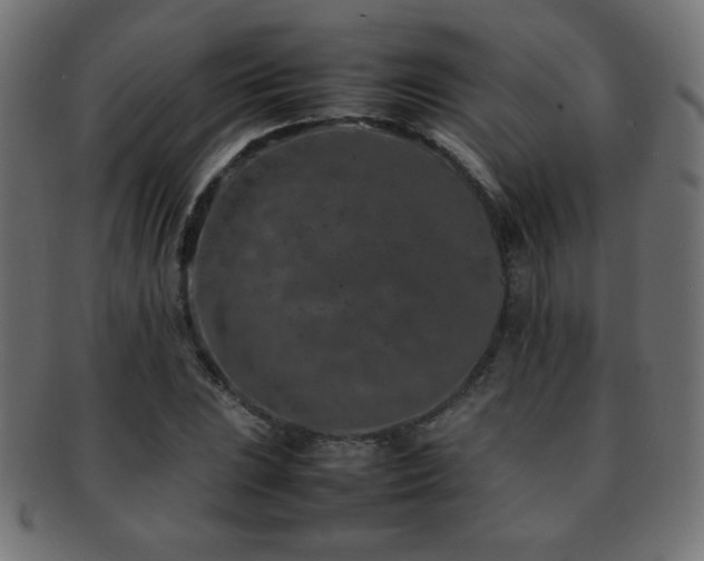 X0000092271023200709141157