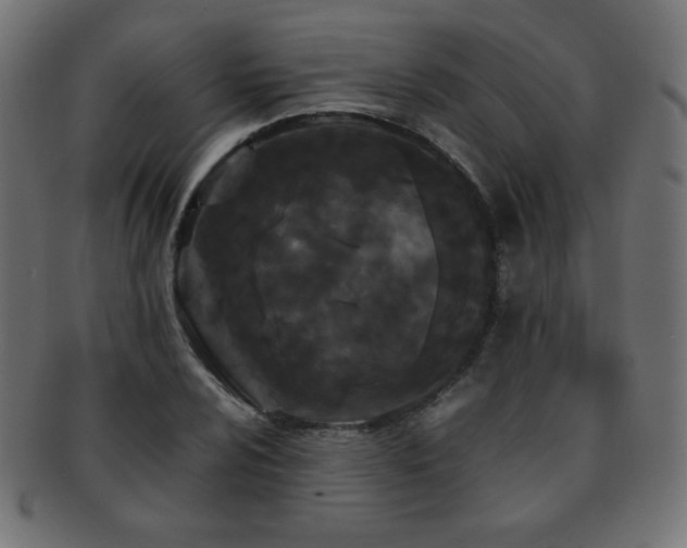 X0000092271024200709141157