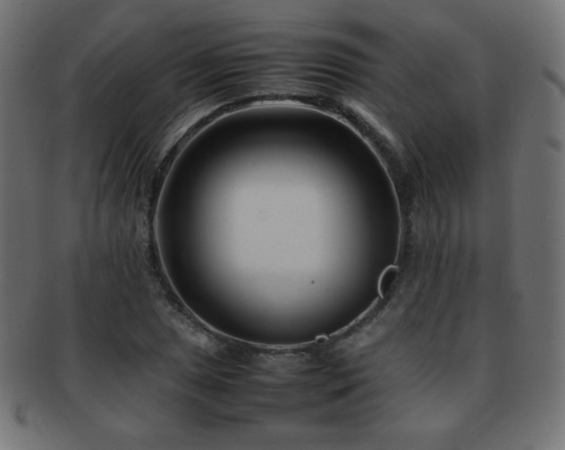 X0000092271025200709141157