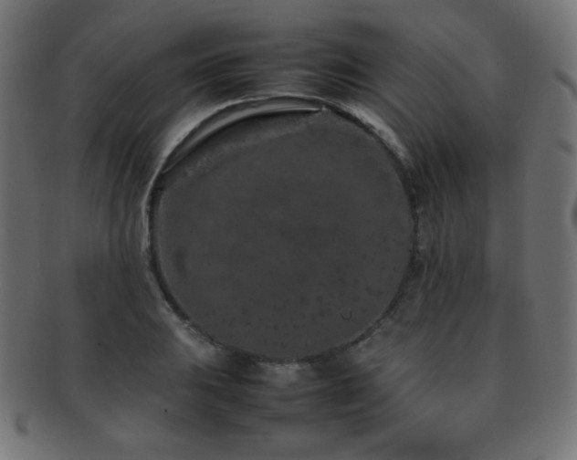 X0000092271031200709141157