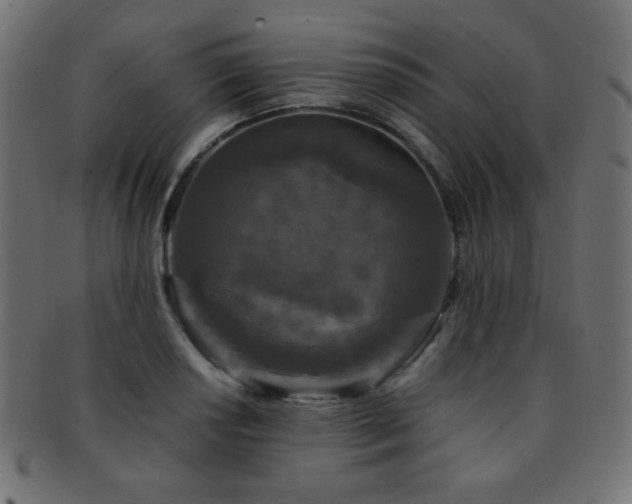 X0000092271034200709141157