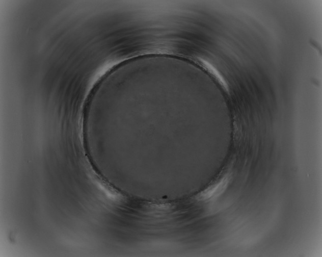 X0000092271035200709141157