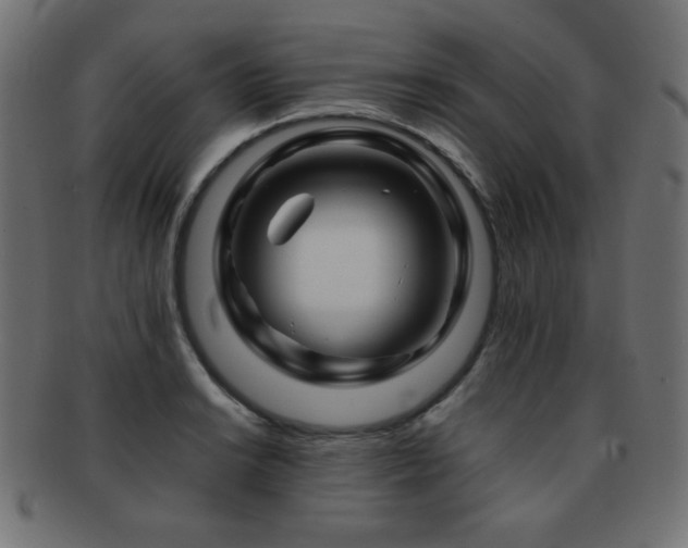 X0000092271038200709141157