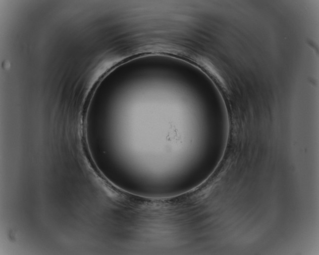 X0000092271040200709141157