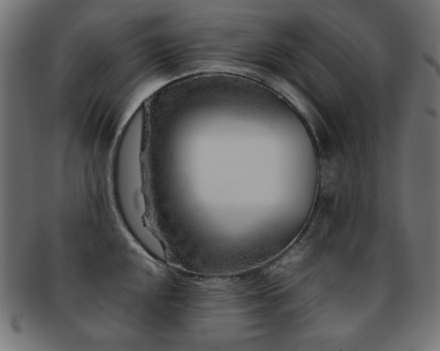 X0000092271048200709141157