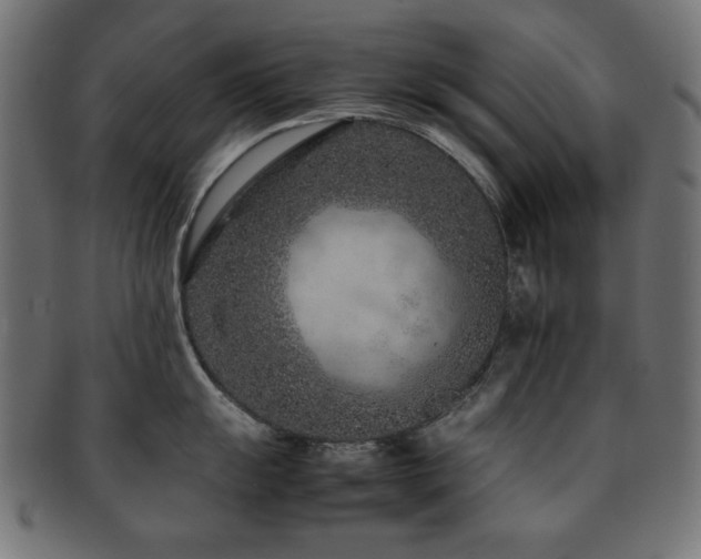 X0000092271055200709141157
