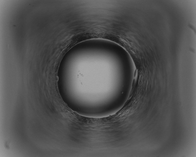 X0000092271057200709141157