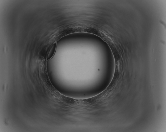 X0000092271059200709141156