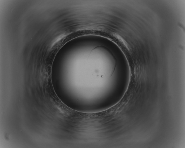X0000092271064200709141156
