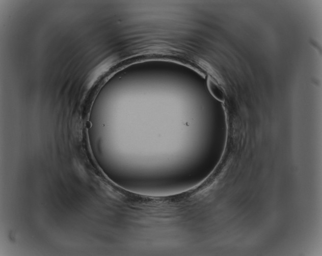 X0000092271067200709141156