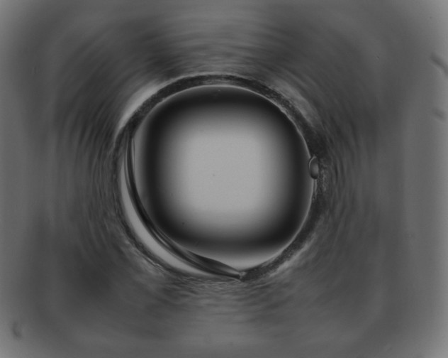 X0000092271069200709141156