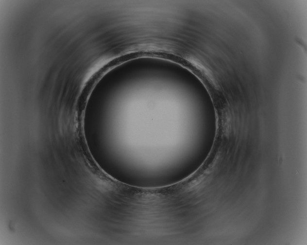 X0000092271070200709141156