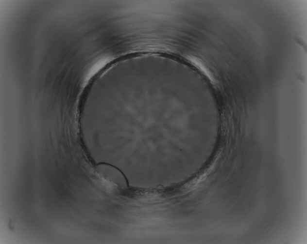 X0000092271071200709141156
