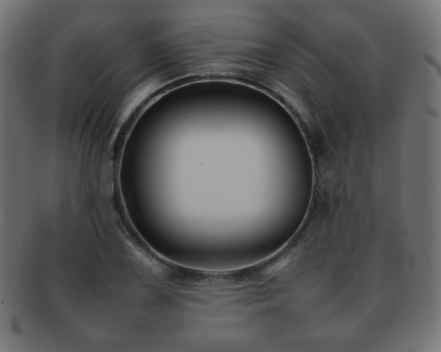 X0000092271075200709141156