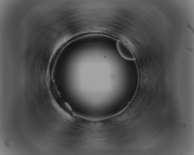 X0000092271080200709141156