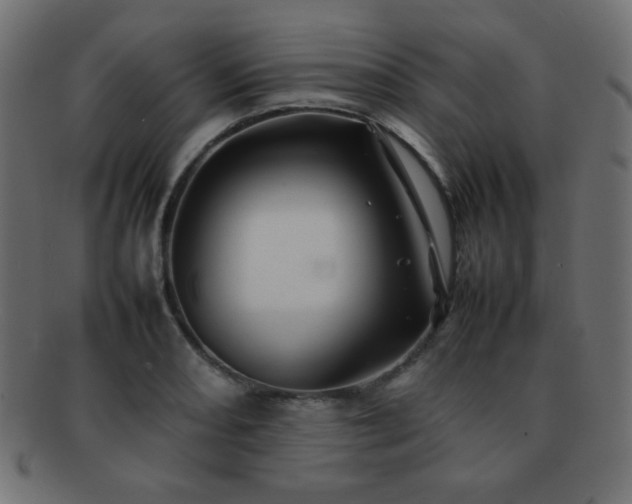 X0000092271082200709141156